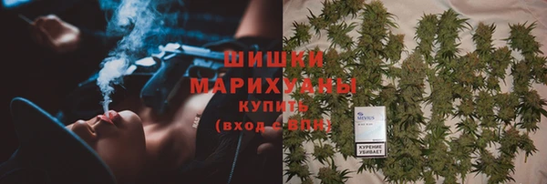 сатива Медногорск