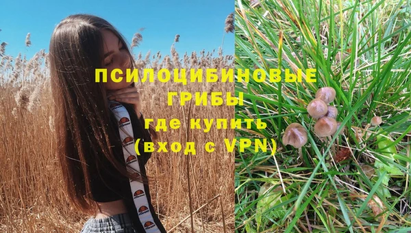 а пвп мука Мегион