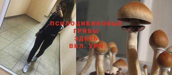 а пвп мука Мегион