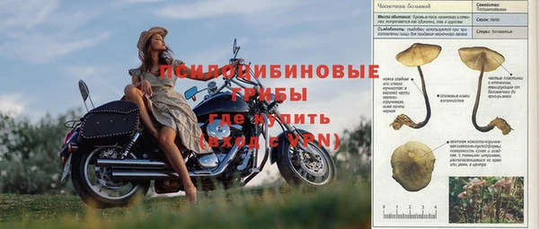 сатива Медногорск