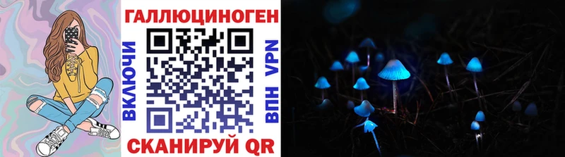 наркотики  MEGA онион  Псилоцибиновые грибы ЛСД  Рыльск 